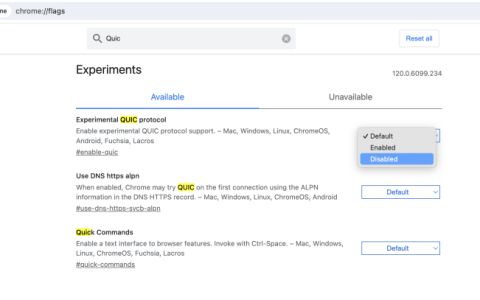 解决翻墙后 Chrome浏览器无法使用谷歌 Gemini 的问题