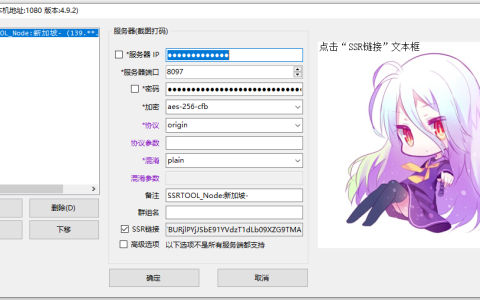 关于 SSR 客户端的一些关键配置说明