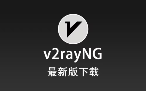 2025 最新版 V2rayNG 客户端下载