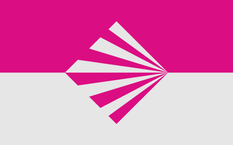 V2Ray 翻墙会被发现吗，用 V2Ray 会查出来吗