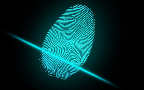 指纹浏览器是什么意思 指纹浏览器是干啥的