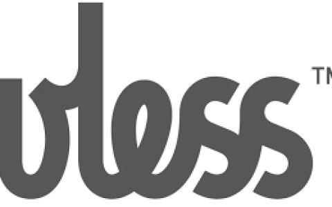 V2ray 的 VLESS 协议介绍和使用教程