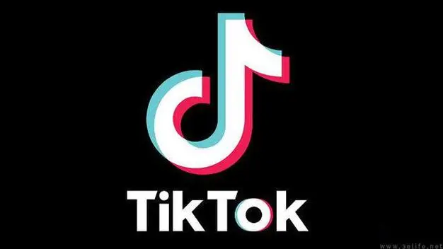TikTok 新手指南：TikTok 怎么下载？ 2025最新 TikTok 下载教程