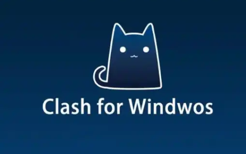 Clash for windows 是什么软件 如何使用 Clash for windows