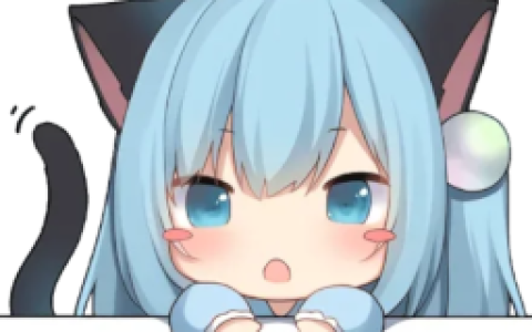 2025 最新 Linux 客户端 NekoRay  安装、运行教程